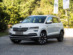 2019款 TSI280 智行豪华版 国VI