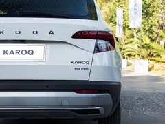 2019款 TSI280 智行豪华版 国VI