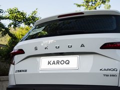2019款 TSI280 智行豪华版 国VI