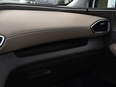 2019款 380 TGDi DLX 自动四驱智尊（HTRAC）国VI