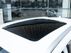 2019款 1.6T 两驱铂金版