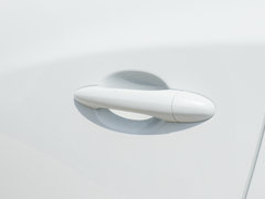 2019款 1.6T 两驱铂金版