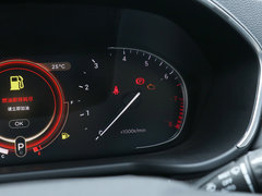 2019款 1.6T 两驱铂金版
