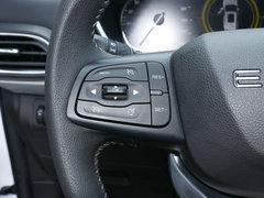 2019款 1.6T 两驱铂金版