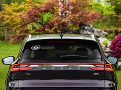 2019款 1.6T 两驱钻石版
