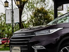 2019款 1.6T 两驱钻石版