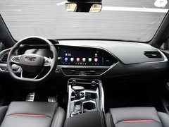 2019款 300T 耀星者