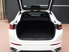 2019款 300T 耀星者