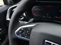 2019款 300T 耀星者
