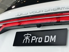 2019款 DM 1.5T 四驱性能版舒适型