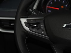 2019款 Redline 335T CVT尊版 国VI