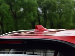 2019款 300TGI 自动智能座舱旗舰版
