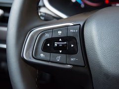 2019款 1.6TGDI 自动豪华型