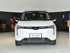 2021款 520km ACE极智版