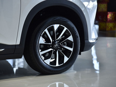 2021款 520km ACE极智版
