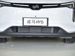 2021款 520km ACE极智版
