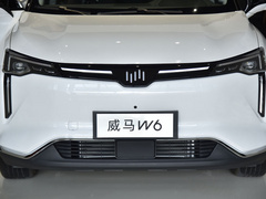 2021款 520km ACE极智版
