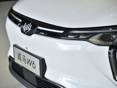 2021款 520km ACE极智版