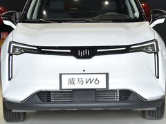 2021款 520km ACE极智版