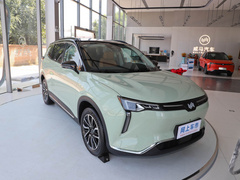 2021款 520km ACE极智版