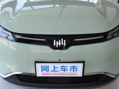 2021款 520km ACE极智版