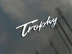 2019款 20T 自动两驱Trophy超跑版 国VI