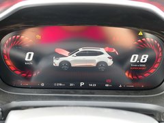 2019款 20T 自动两驱Trophy超跑版 国VI