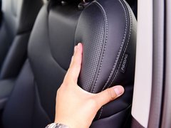 2019款 1.5T 自动尊贵型