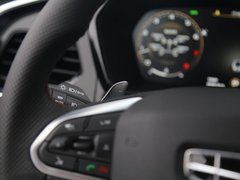 2019款 350T 驭星者AWD
