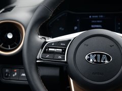 2019款 1.5L CVT豪华版
