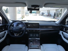 2021款 290T 两驱星耀版