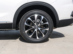 2019款 1.5T 动版 国VI
