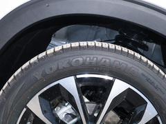 2019款 1.5T 动版 国VI
