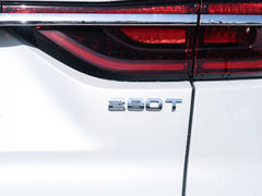 2019款 1.5T 动版 国VI