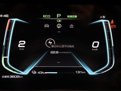 2019款 标准续航版 悦·标准型
