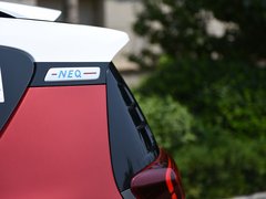 2019款 4座智炫版 35kWh