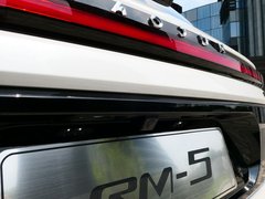 2019款 1.5T CVT 24小时在线尊贵型 6座