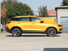 2019款 230 TID 自动尊贵型米粉版 国VI