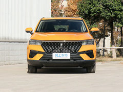 2019款 230 TID 自动尊贵型米粉版 国VI