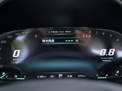 2019款 30T 自动两驱Trophy超燃版 国VI