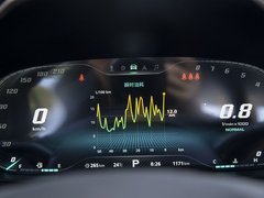 2019款 30T 自动两驱Trophy超燃版 国VI