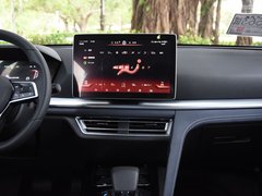 2019款 DM 1.5T 四驱性能版豪华型