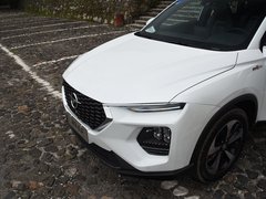 2019款 1.6TGDI 自动潮版