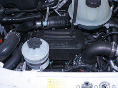 2019款 2.0T Plus 6挡手动傲运通短轴中顶5/6座