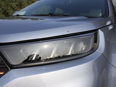 2019款  星领型