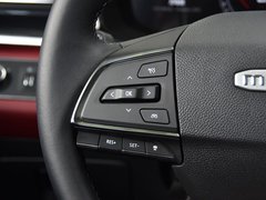 2019款 1.5T 自动极客全配版 7座