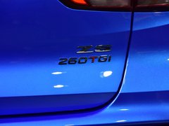 2020款 260TGI 自动Trophy Plus L2+