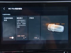 2020款 260TGI 自动Trophy Plus L2+