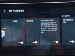 2020款 260TGI 自动Trophy Plus L2+