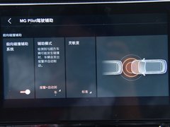 2020款 260TGI 自动Trophy Plus L2+